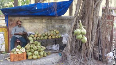 Un marchand de fruits,...